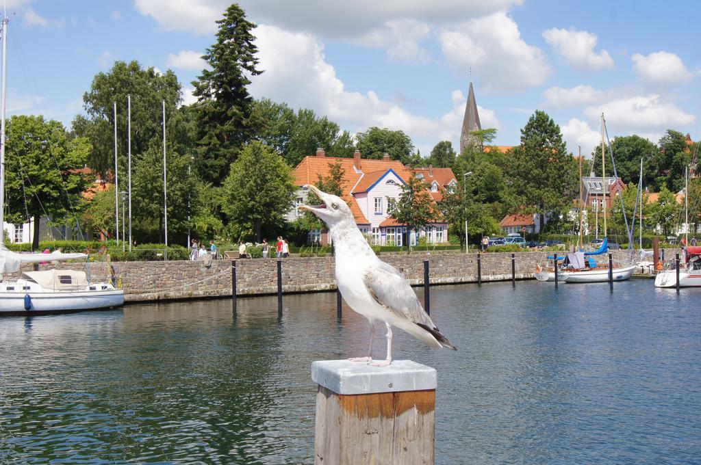 Ostsee Ferienhaeuser Waabs Quarto foto